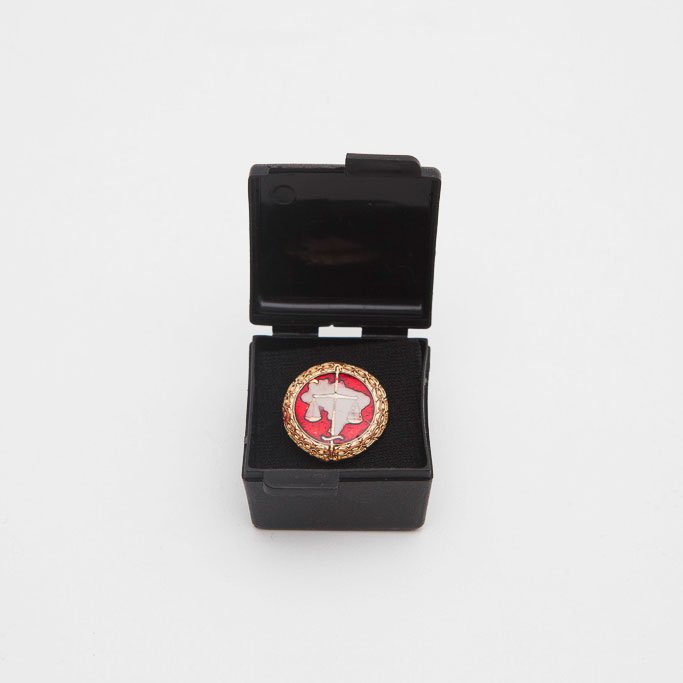 Pin